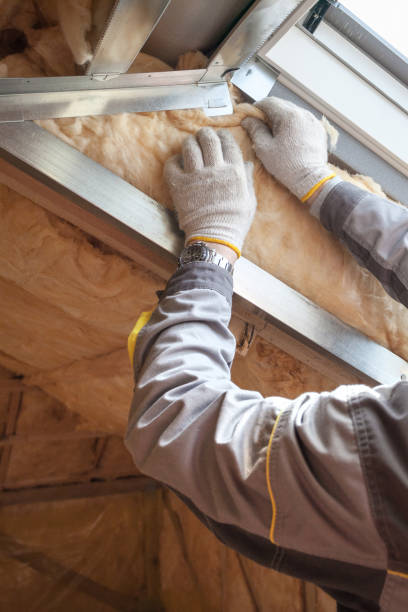 Best Professional Insulation Contractor  in Chillicothe, OH